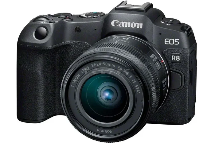 Canon EOS R8 + RF 24 – 50 mm IS STM