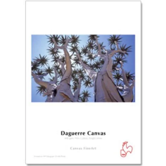 Hahnemühle FineArt Canvas Daguerre 44″x12m 400g/m²