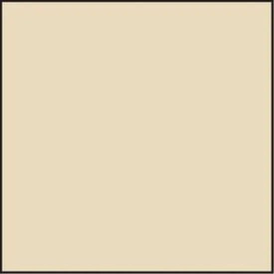 Lee Folienfilter CT-Filter 100 x 100 mm 81C