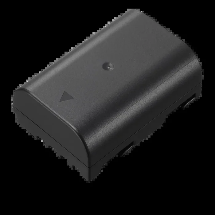 Panasonic DMW-BLF19E Akku