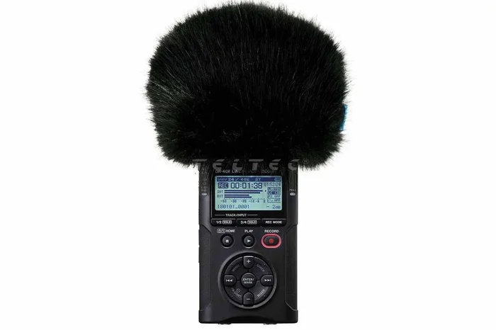 Radius Windshields Tascam DR-40X Mini Windcover